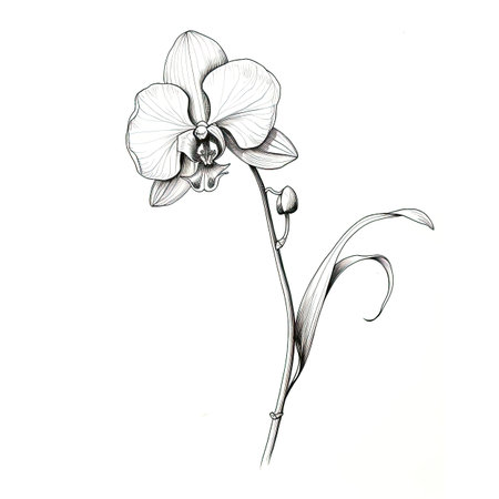 vintage Orchid flower ai generated. leaf blossom, summer watercolor, pink branch vintage Orchid flower illustrationの素材