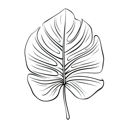 jungle monstera leaf ai generated. summer foliage, exotic tree, green floral jungle monstera leaf illustrationの素材