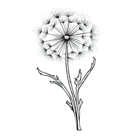 nature dandelion ai generated. seed plant, meadow flying, blossom grass nature dandelion illustrationの素材