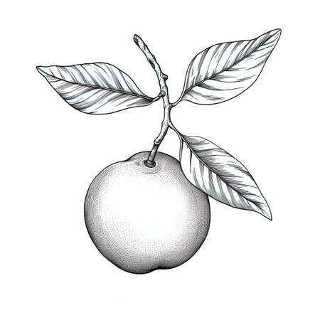 fruit mandarin ai generated. citrus background, juice sweet, group clementine fruit mandarin illustrationの素材