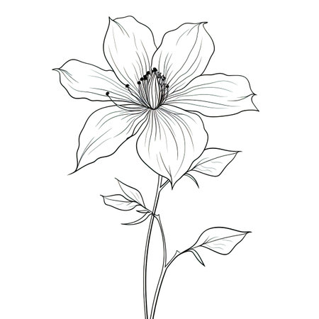 wild Clematis flower ai generated. botanical peony, nature meadow, flat garden wild Clematis flower illustrationの素材