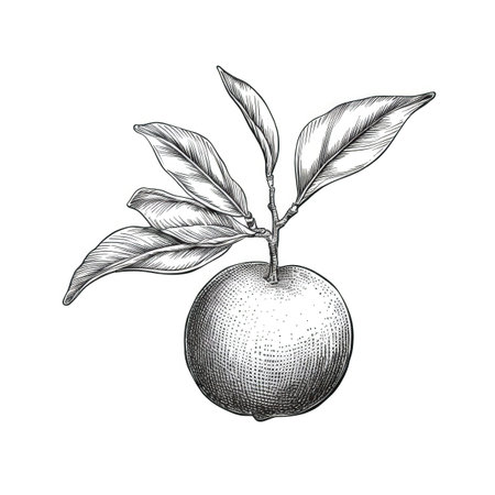 tangerine mandarin ai generated. fruit citrus, background juice, sweet group tangerine mandarin illustrationの素材