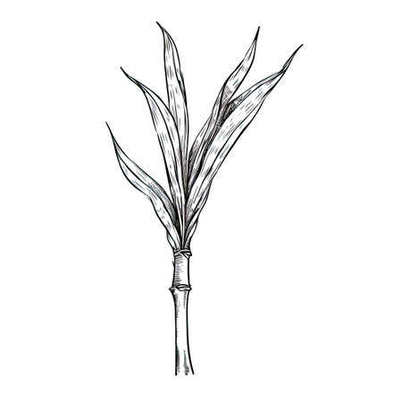 background sugar cane ai generated. green field, farm icon, leaf plantation background sugar cane illustrationの素材