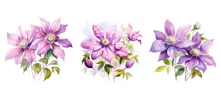 floral clematis flowers watercolor ai generated. background spring, nature botanical, vintage design floral clematis flowers watercolor illustrationの素材