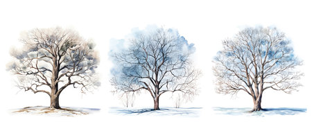 design winter tree watercolor ai generated. branch abstract, ornament pine, holiday landscape design winter tree watercolor illustrationの素材