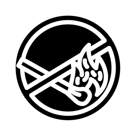 no open fire lighted match emergency glyph icon vector illustrationのイラスト素材