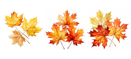 fall autumn maple leaves ai generated. colorful red, orange yellow, season leaf fall autumn maple leaves illustration watercolorの素材