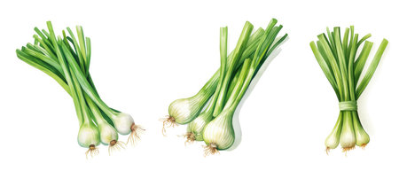 organic green onion ai generated. cooking salad, culinary scallion, spring stalk organic green onion illustration watercolorの素材