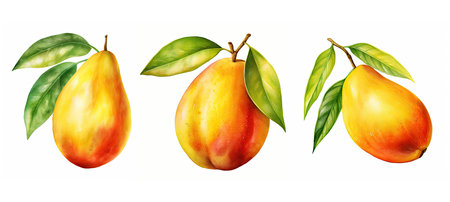 tropical mango ai generated. juicy sweet, mango mango, variety culinary tropical mango illustration watercolorの素材