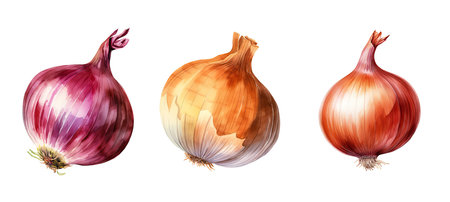 vegetable onion ai generated. culinary cooking, onion variety, ingredient onion vegetable onion illustration watercolorの素材