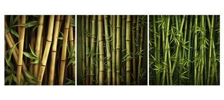 natural bamboo stems background illustration organic tropical, green plant, natural organic natural bamboo stems backgroundの素材