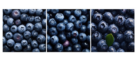organic blueberries food texture background illustration healthy natural, close up, delicious harvest organic blueberries food texture backgroundの素材