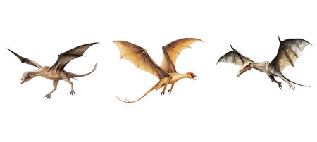 nature pterodactyl illustration animal monster, prehistoric ancient, creature beast nature pterodactylの素材