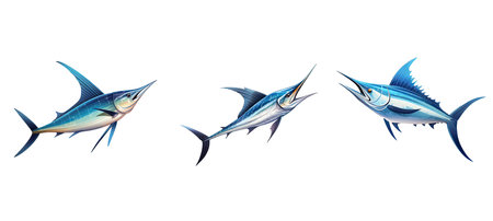 sword swordfish illustration ocean seafood, nature animal, billfish food sword swordfishの素材