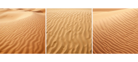 beach desert sand background textureの素材