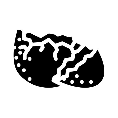 eggshell egg chicken farm food glyph icon vector illustrationのイラスト素材