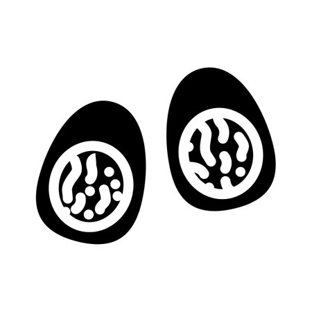 boiled egg food glyph icon vector illustrationのイラスト素材