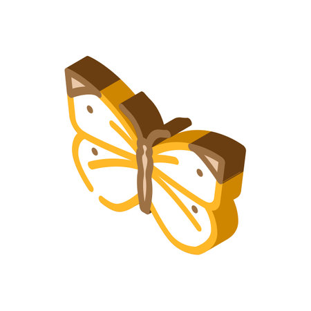 cabbage white summer isometric icon vector illustrationのイラスト素材