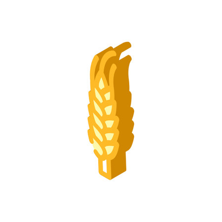 yellow barley plant isometric icon vector illustrationのイラスト素材
