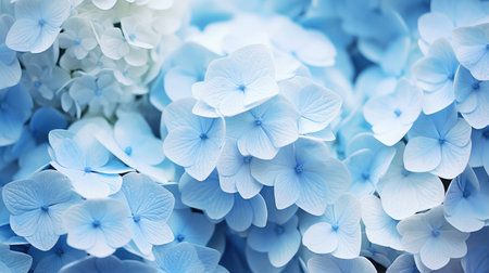 closeup soft flower background simpleの素材