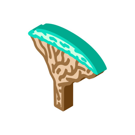 dragon blood tree isometric icon vector illustrationのイラスト素材