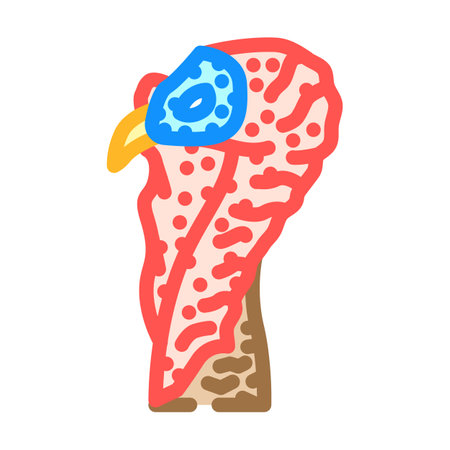 turkey animal color icon vector illustrationのイラスト素材