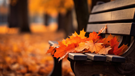 orange fall leaves with woodの素材