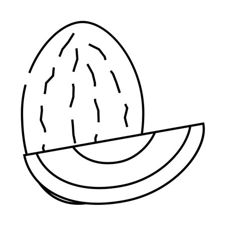 melon fruit line icon vector illustrationのイラスト素材