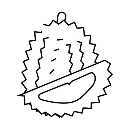 durian fruit line icon vector illustrationのイラスト素材