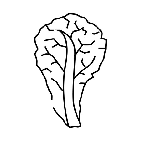 red lettuce line icon vector illustrationのイラスト素材