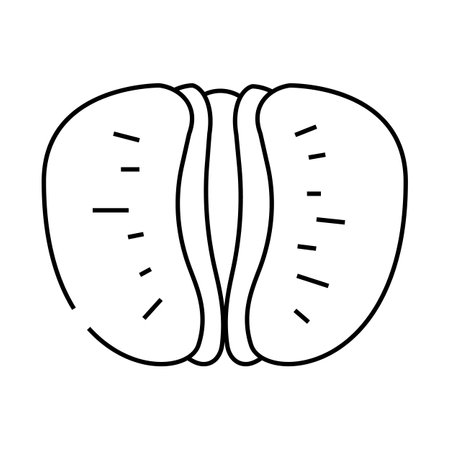 peeled tangerine slice line icon vector illustrationのイラスト素材