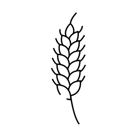 plant ripe yellow wheat line icon vector illustrationのイラスト素材