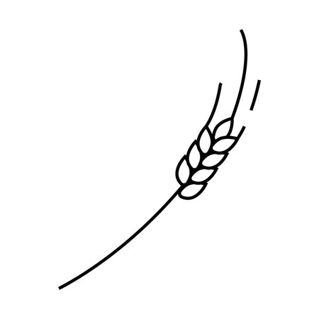 spikelets ripe wheat line icon vector illustrationのイラスト素材