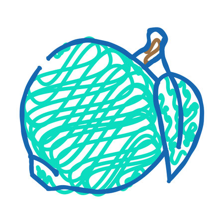 green tangerine leaf icon doodle illustrationのイラスト素材