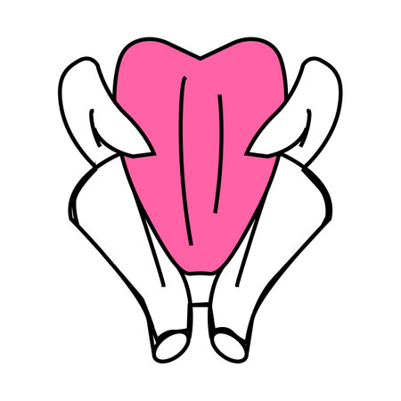 broiler chicken carcass icon color illustrationのイラスト素材