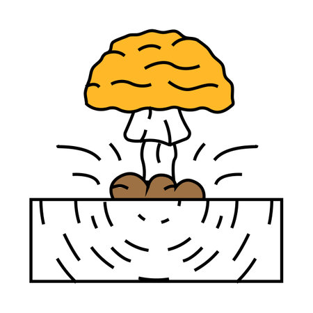 explosion earthquake disaster icon color illustrationのイラスト素材