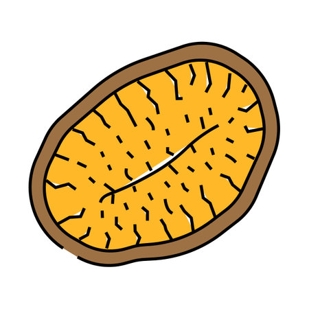 kiwi dried fruit icon color illustrationのイラスト素材