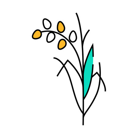 rice plant healthy icon color illustrationのイラスト素材