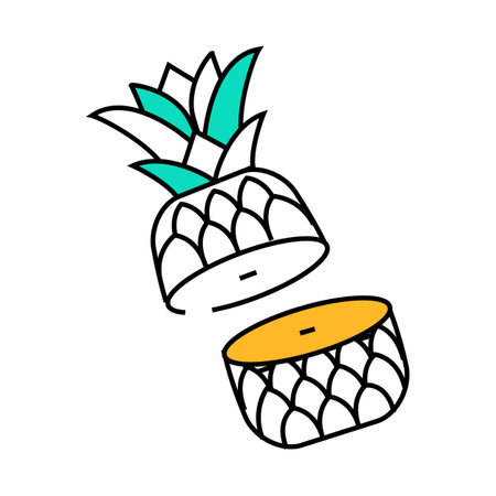 cut half a pineapple icon color illustrationのイラスト素材