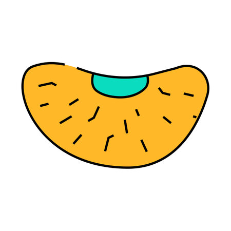 wedge mandarin clementine icon color illustrationのイラスト素材