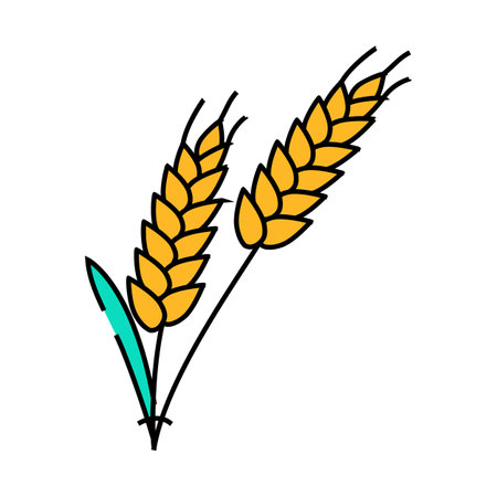 ear barley grain icon color illustrationのイラスト素材