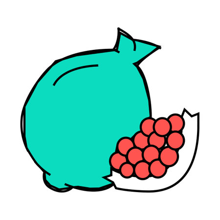 pomegranate fruit icon color illustrationのイラスト素材
