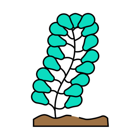 caulerpa lentillifera seaweed icon color illustrationのイラスト素材