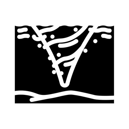 whirlpool rotating water glyph icon vector illustrationのイラスト素材