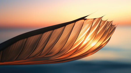 golden palm leaf transparent backgroundの素材