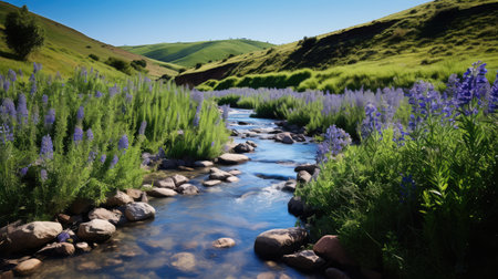 landscape blue sageの素材