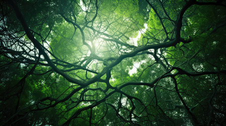 ecosystem green connectionsの素材