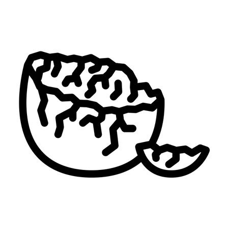 cracked eggshell fracture line icon vector illustrationのイラスト素材