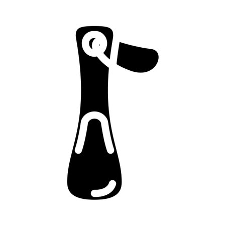 shoe horn clothes care glyph icon vector illustrationのイラスト素材