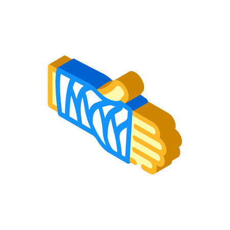 cast on arm fracture isometric icon vector illustrationのイラスト素材